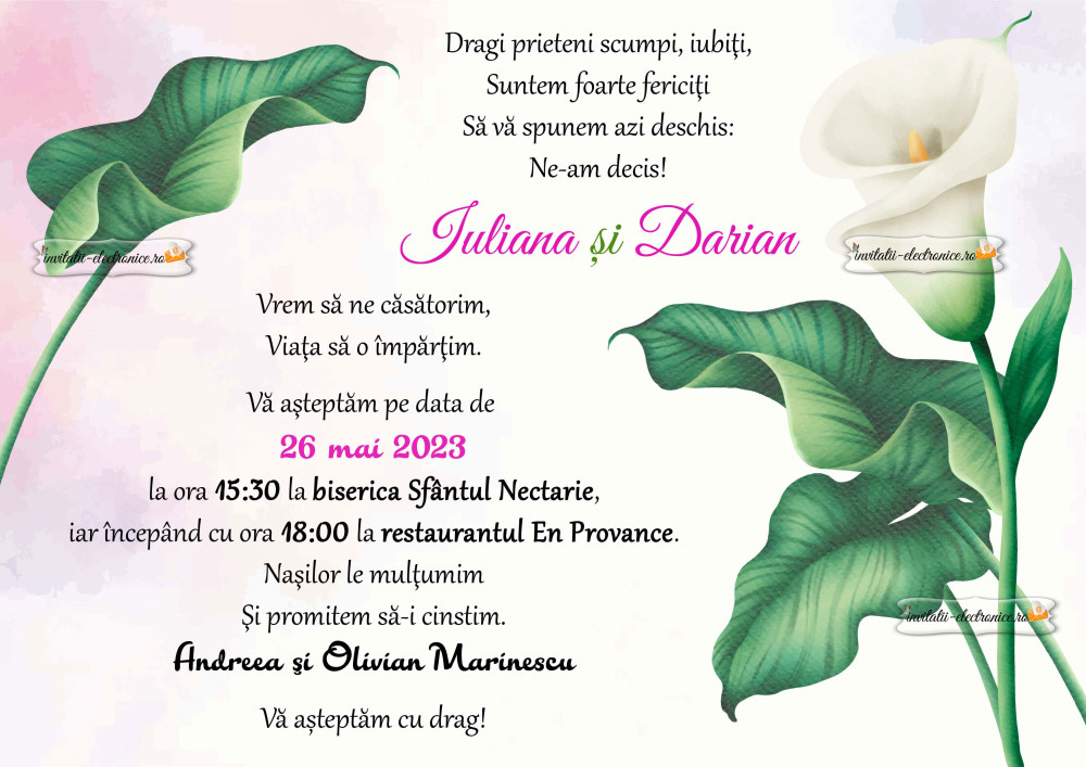 Invitatie de nunta de trimis pe e-mail, whatsApp, facebook, instagram etc.