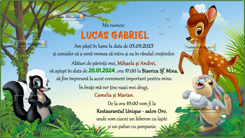 Invitatie la botez cu Bambi si Bocanila