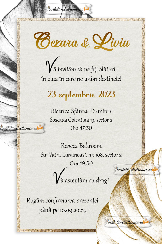 Invitatie de nunta simpla si eleganta