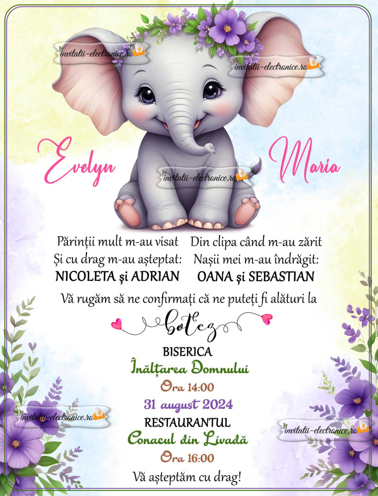 Invitatie de botez digitala cu elefantel