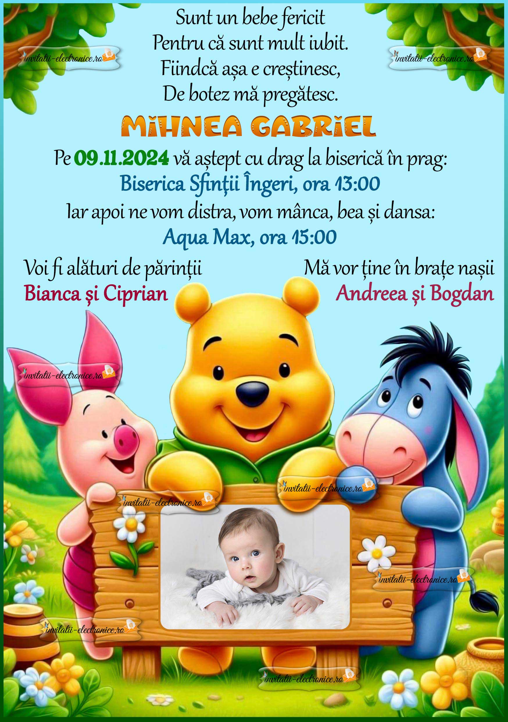 Invitatie cu Winnie si prietenii sai