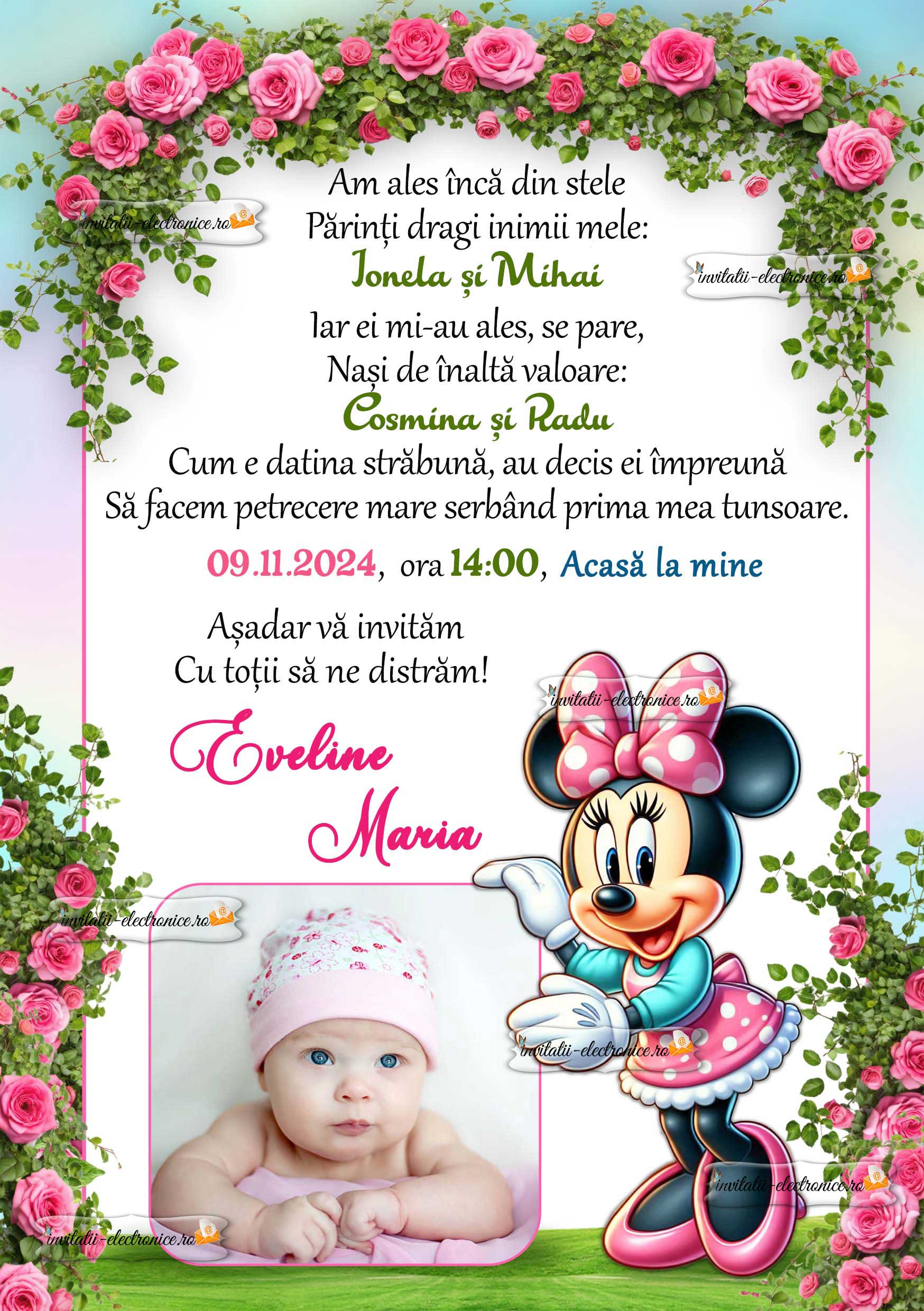 Invitatie la petrecere cu Minnie