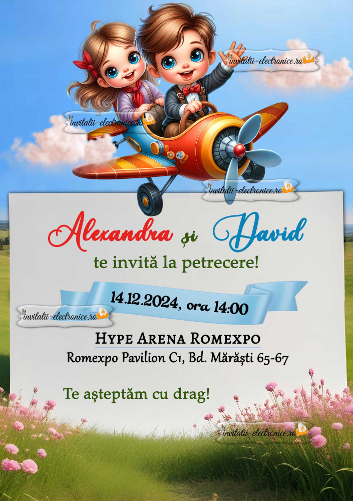 Invitatie gemeni