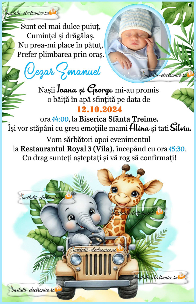 Invitatie la botez cu animale in masina