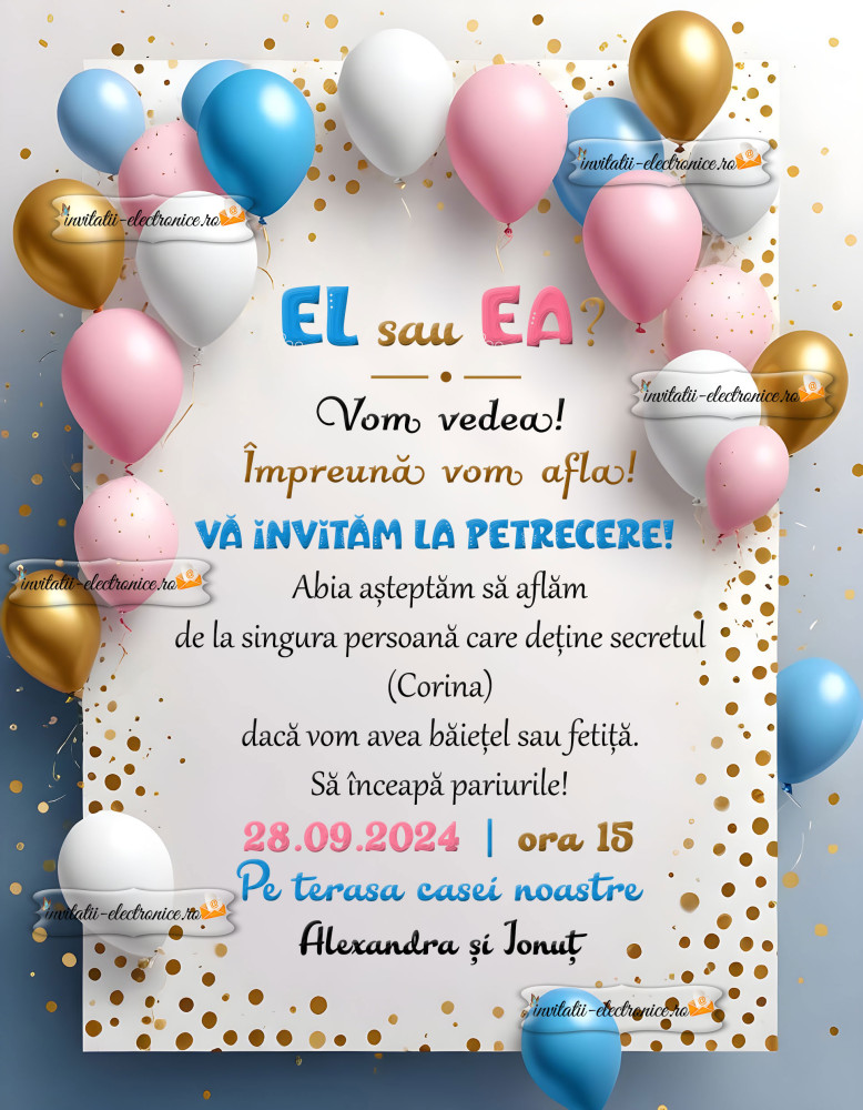 Invitatie la petrecere aflare sex bebe