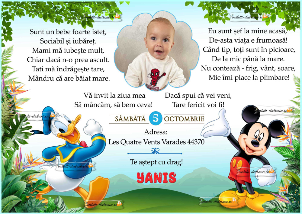 Invitatie la petrecere cu personaje Disney