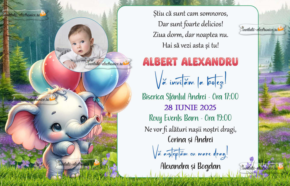 Invitatie la botez cu elefantel