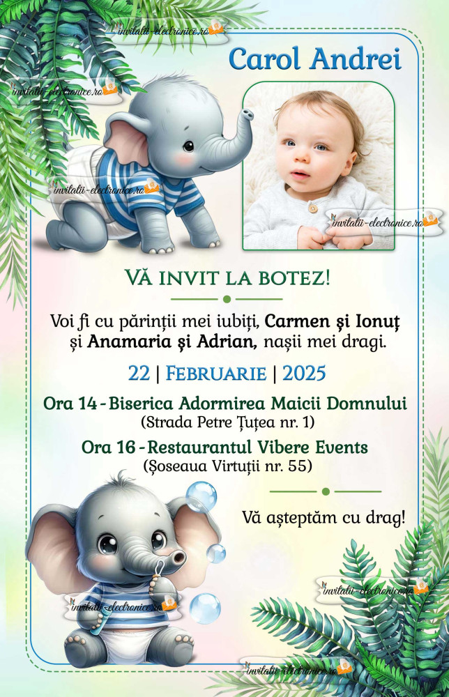 Invitatii electronice de botez cu elefantei